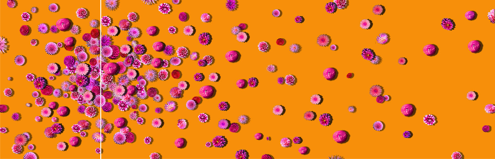 Carlos Betancourt in collaboration with Alberto Latorre, Untitled, corporate commission wall paper and other elements, ICART, (wall paper layout), 2013-14