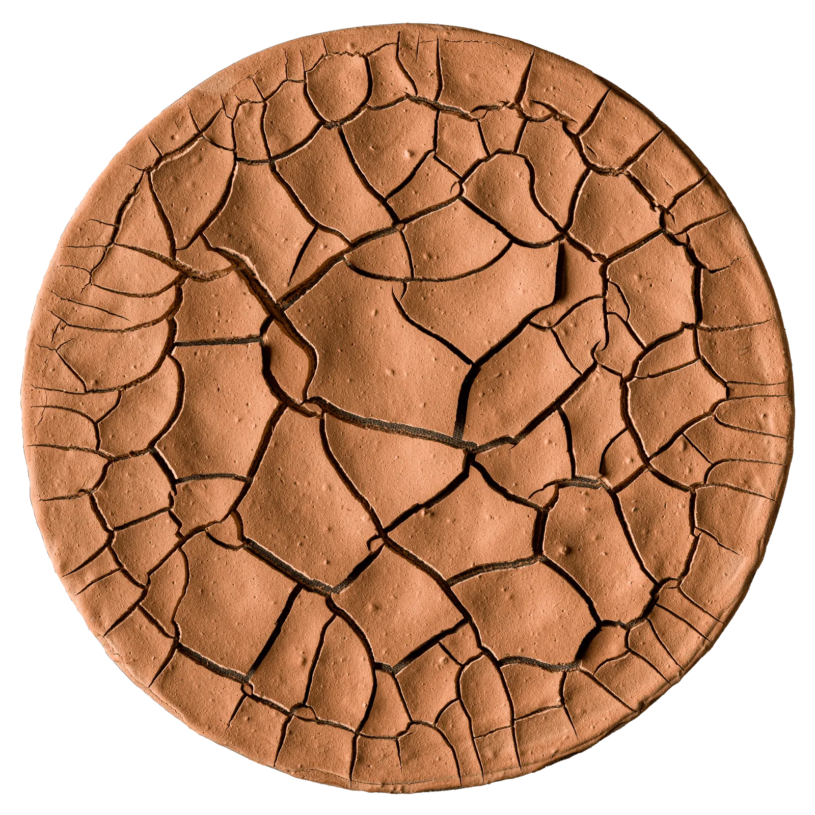 Belony Alma Ferreira, Sem título, 2012 - 2015