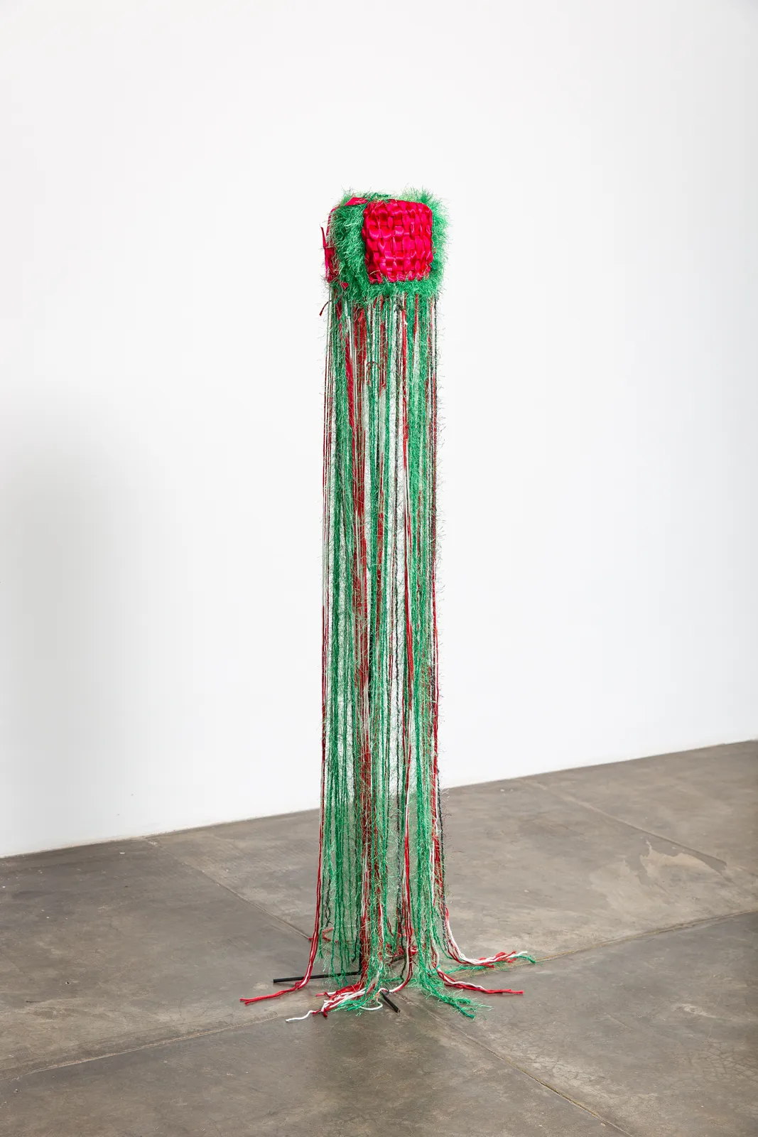 Naine Terena, Sem título, 2024