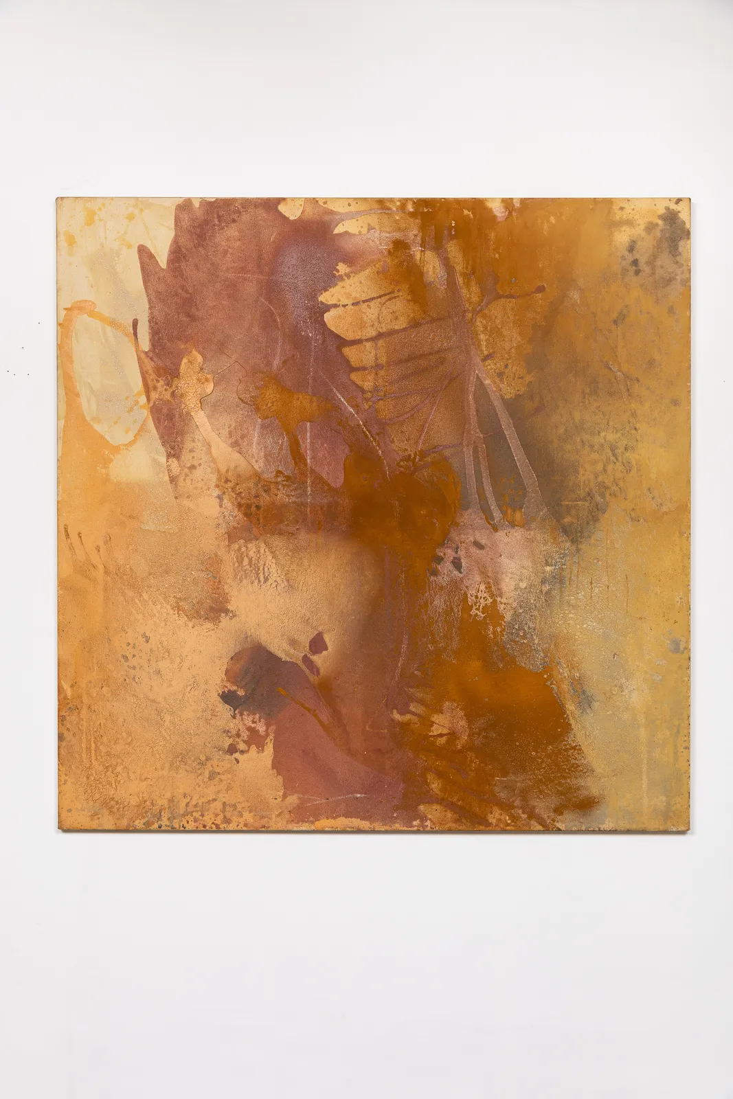 Belony Alma Ferreira, Sem título, 2020