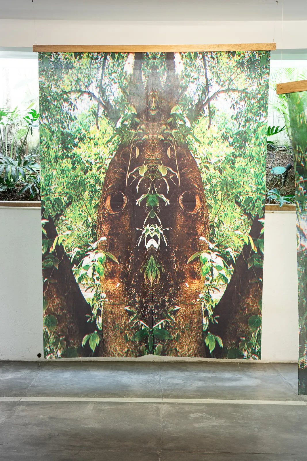 Naine Terena, série Eu sou uma árvore!, 2024