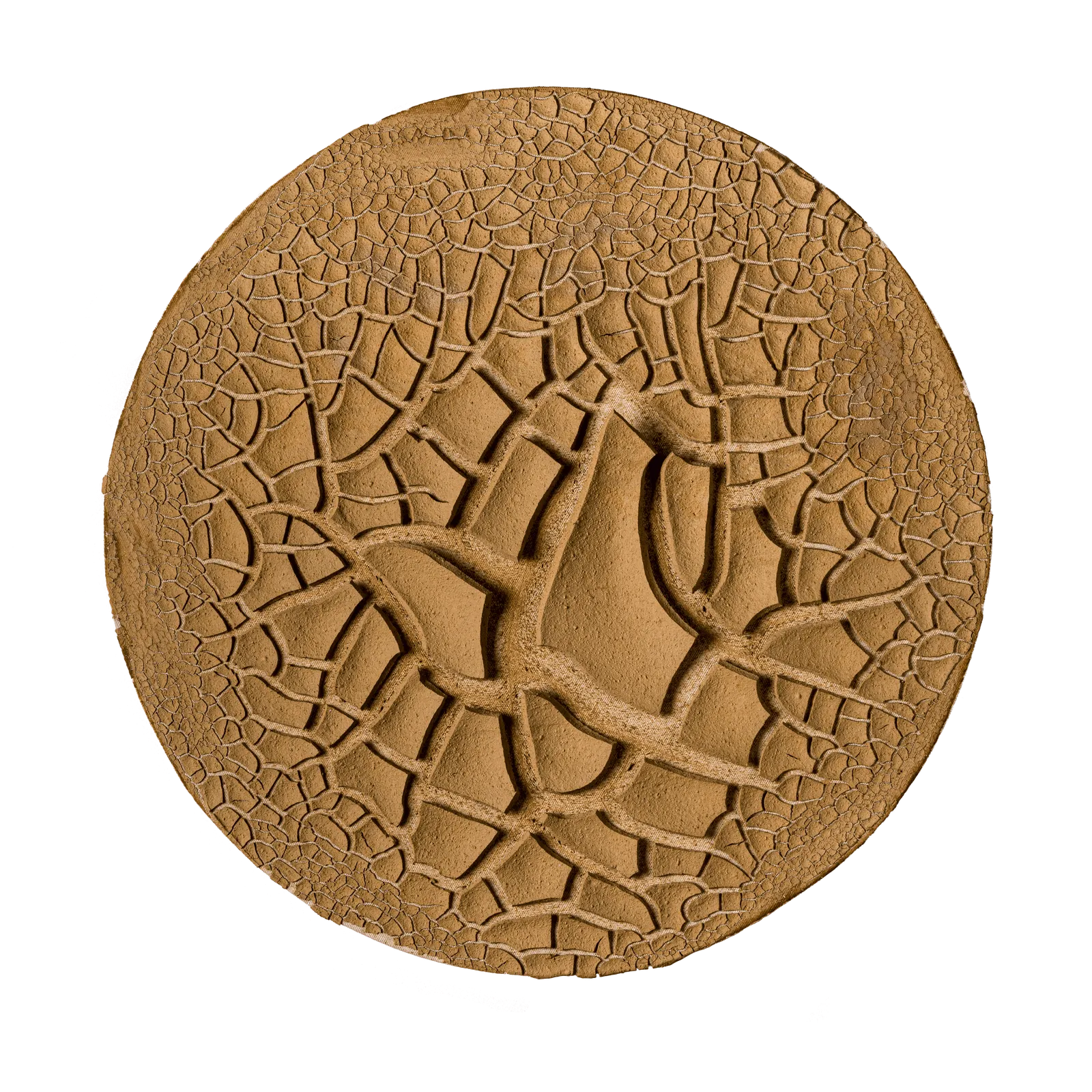 Belony Alma Ferreira, Sem título, 2003