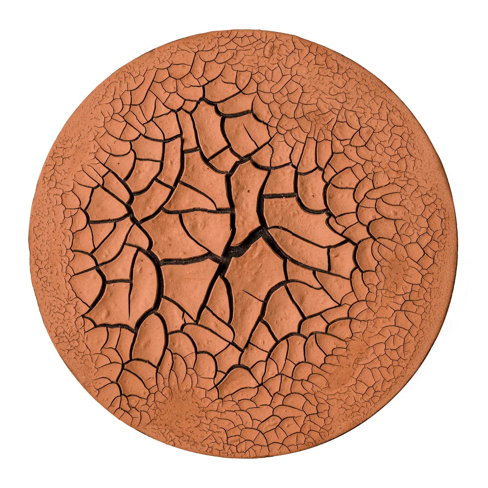 Belony Alma Ferreira, Sem título, 2012 - 2015