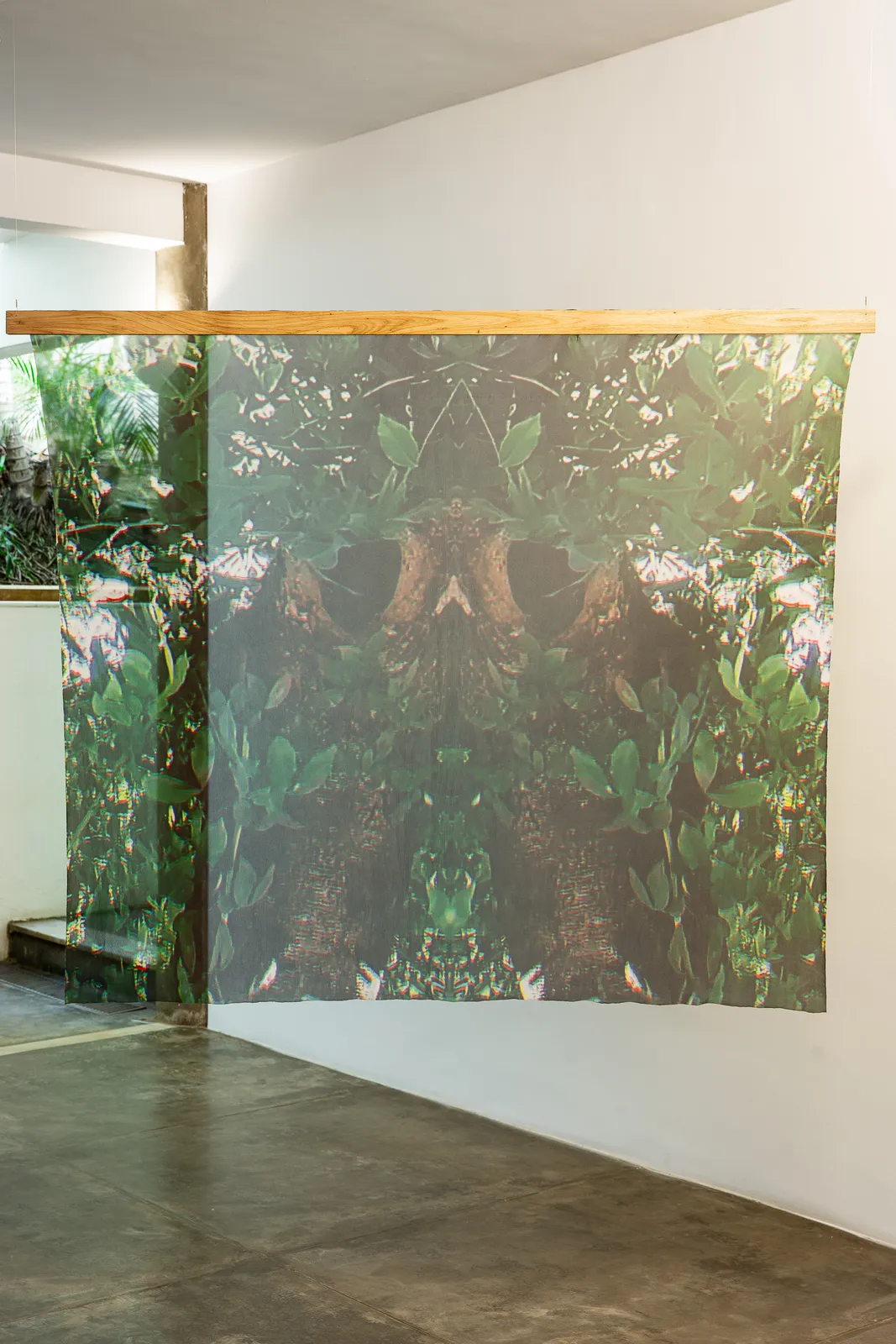 Naine Terena, série Eu sou uma árvore!, 2024