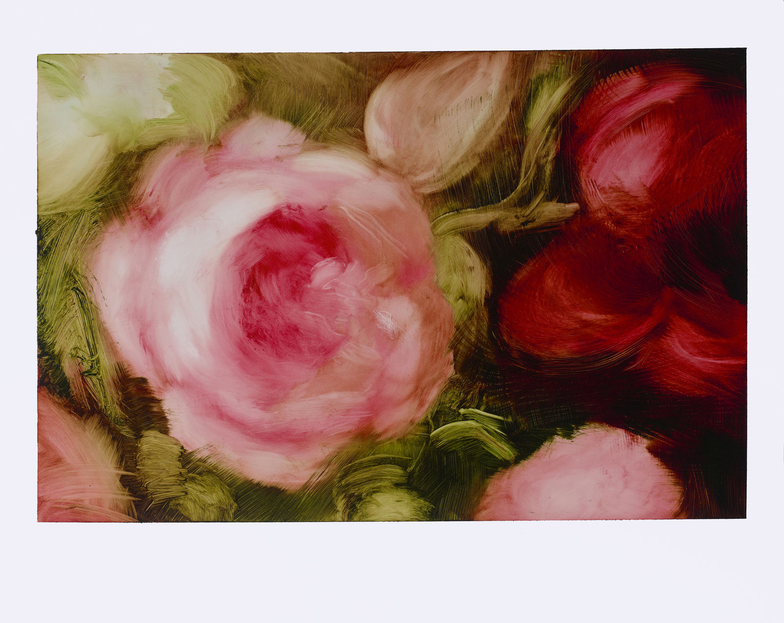 Elise Ansel oil study VI for Ruysch Flower Details, 2019 oil on paper 16 x 20 inches (sheet) 12 x 18 inches (image) (ANSEL 14)