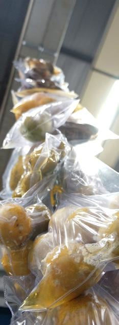 Dan Lie, Project Trilogy, 2015