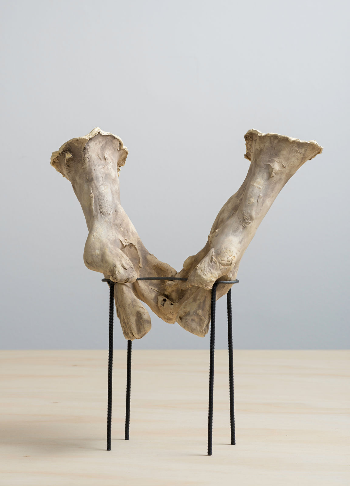 Juliana Cerqueira Leite, Ânfora V, 2013