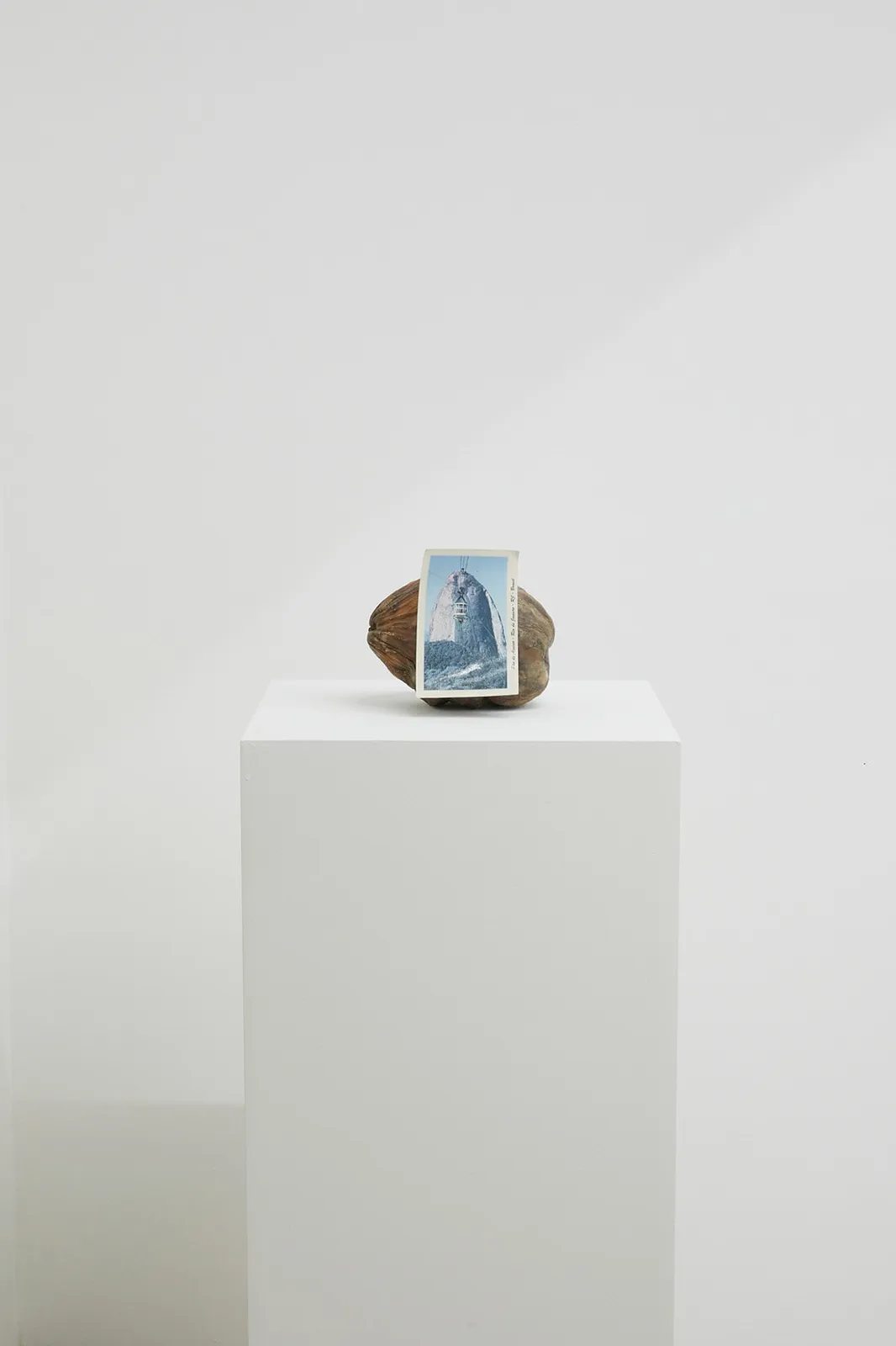 Zé Tepedino, Lembrei de você, 2022