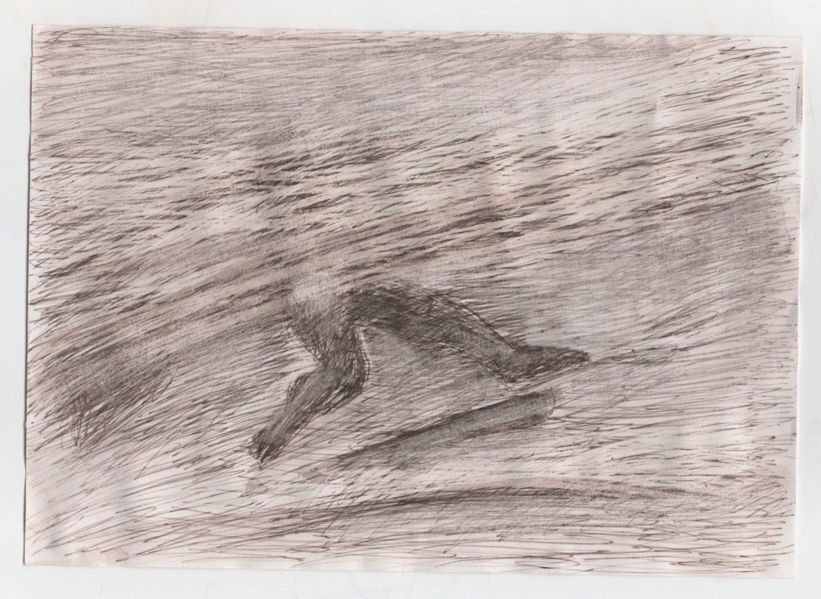 Manuela Ribadeneira, Volcanes, 2018