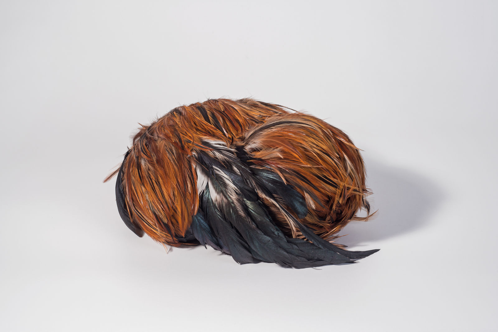 Zé Carlos Garcia, untitled , 2018