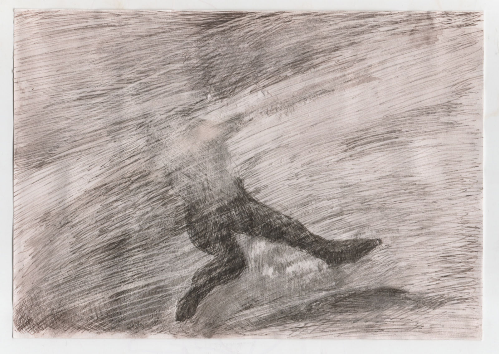 Manuela Ribadeneira, Volcanes, 2018