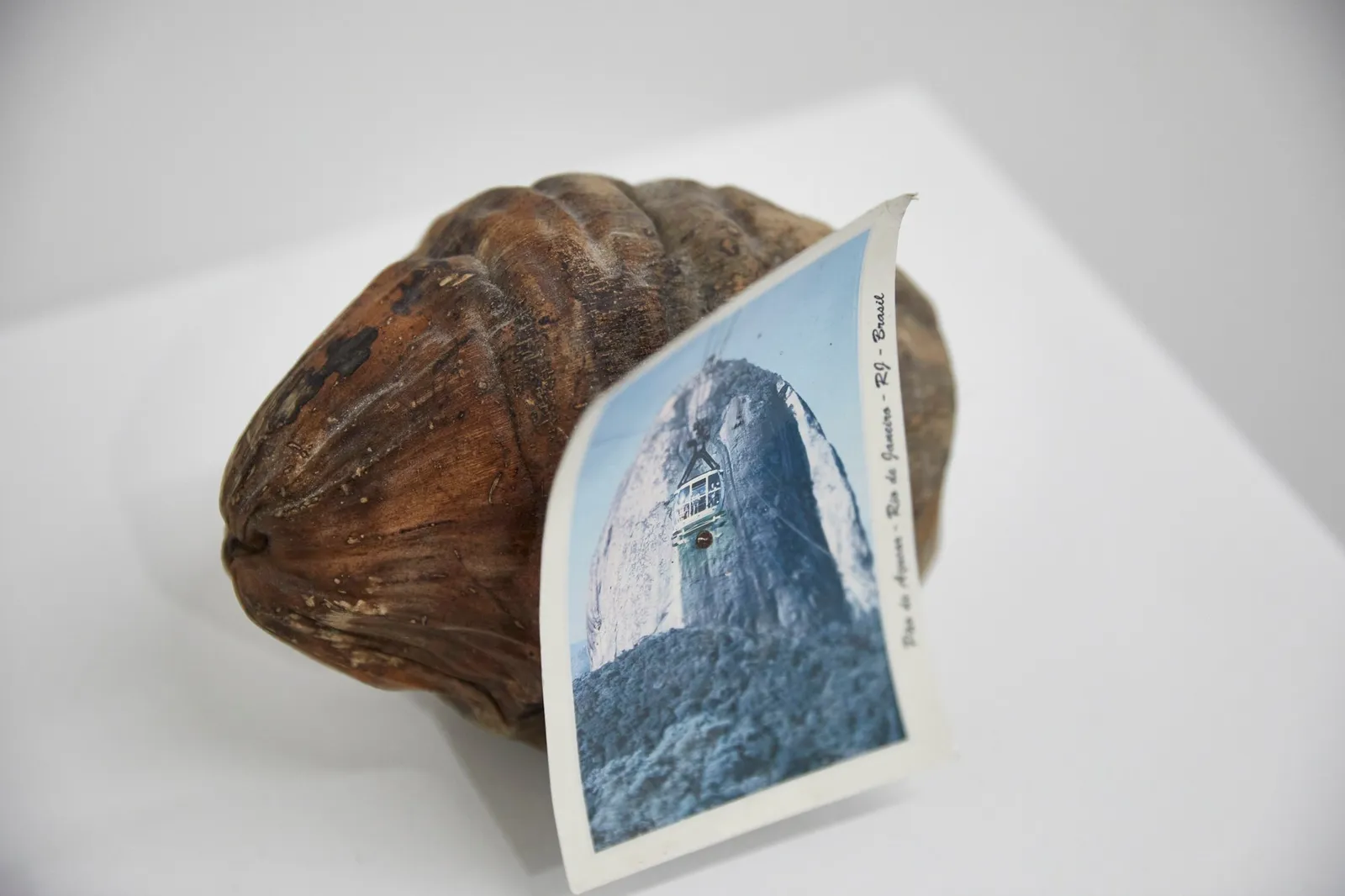 Zé Tepedino, Lembrei de você, 2022