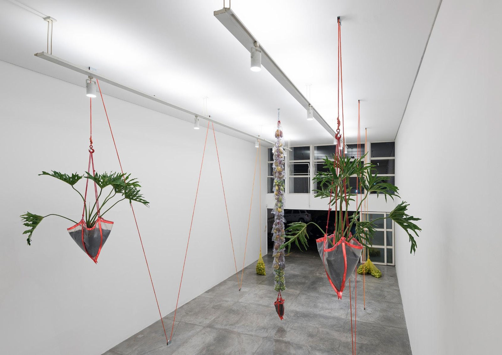 Dan Lie, Lie Liong Khing, 2015