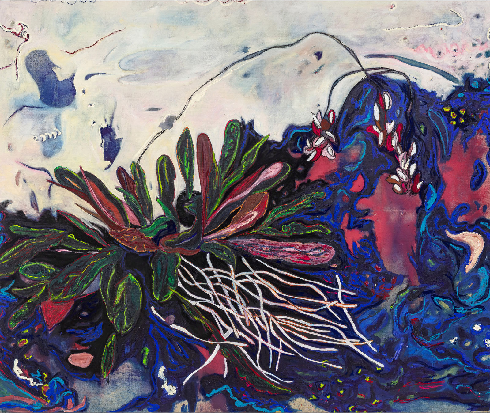 Fernanda Galvão, Wild Heliconia Bihai, 2024