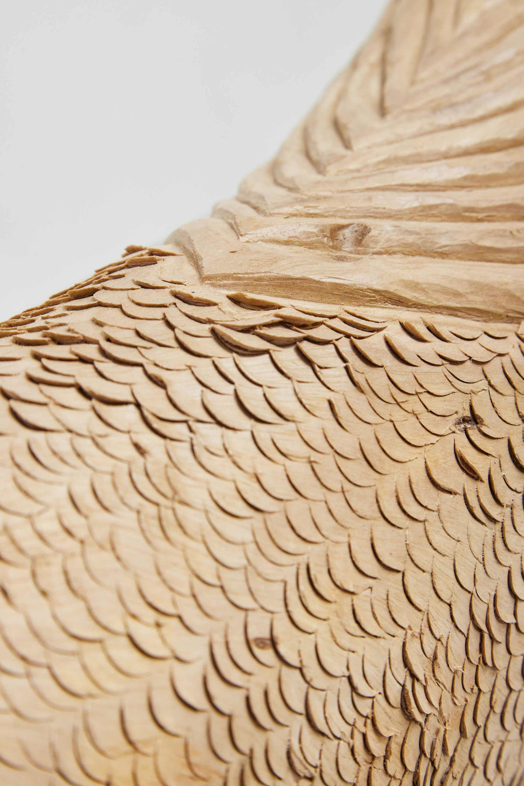 Zé Carlos Garcia, peixe carranca, 2023