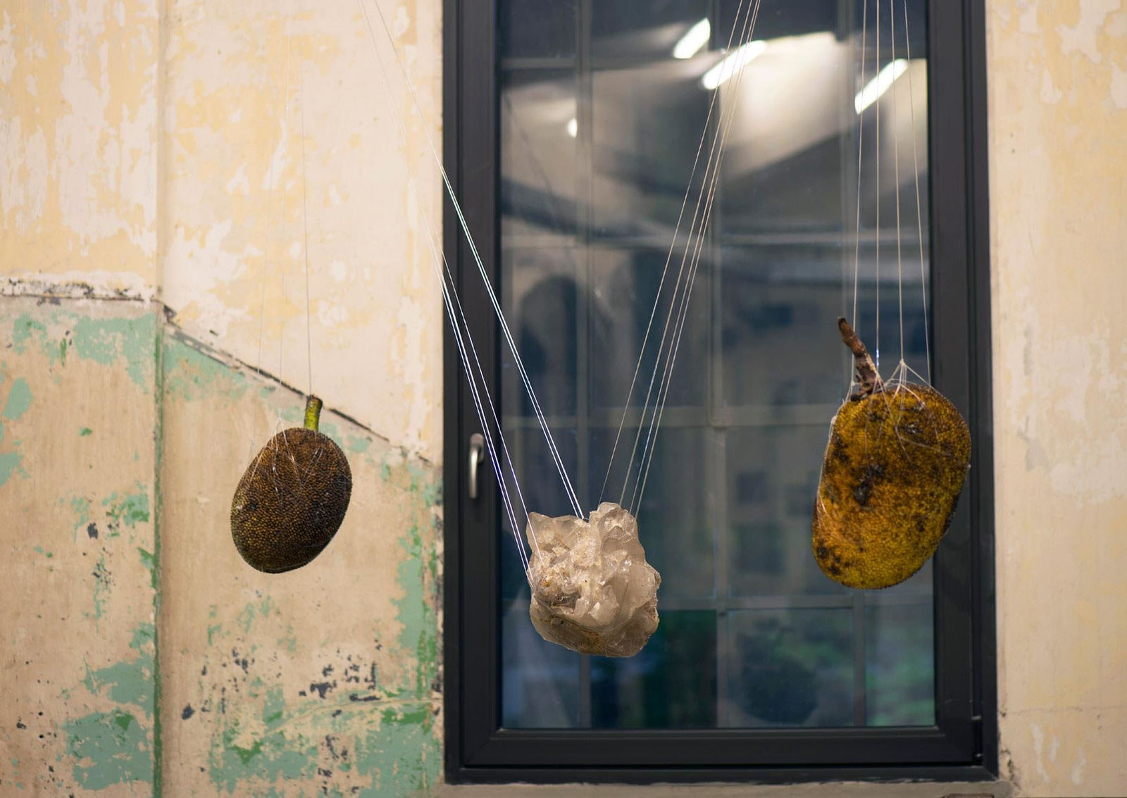 Dan Lie, When my father donated a kidney, 2014