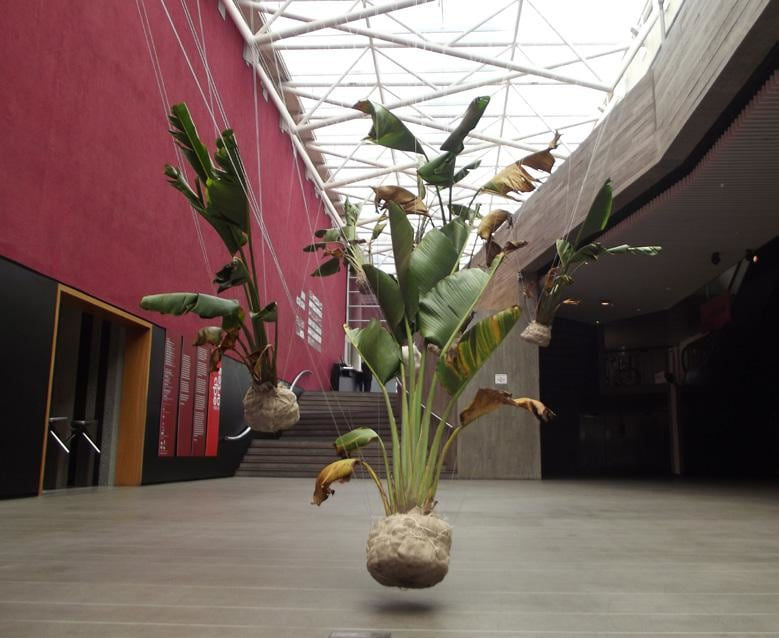 Dan Lie, Time Trinity, 2014