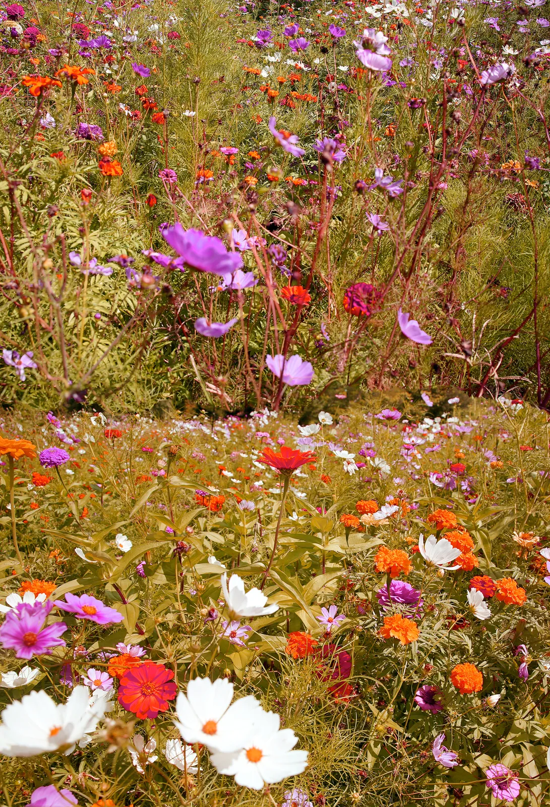 Samuel Hodge, Dwell Time 3, 2026