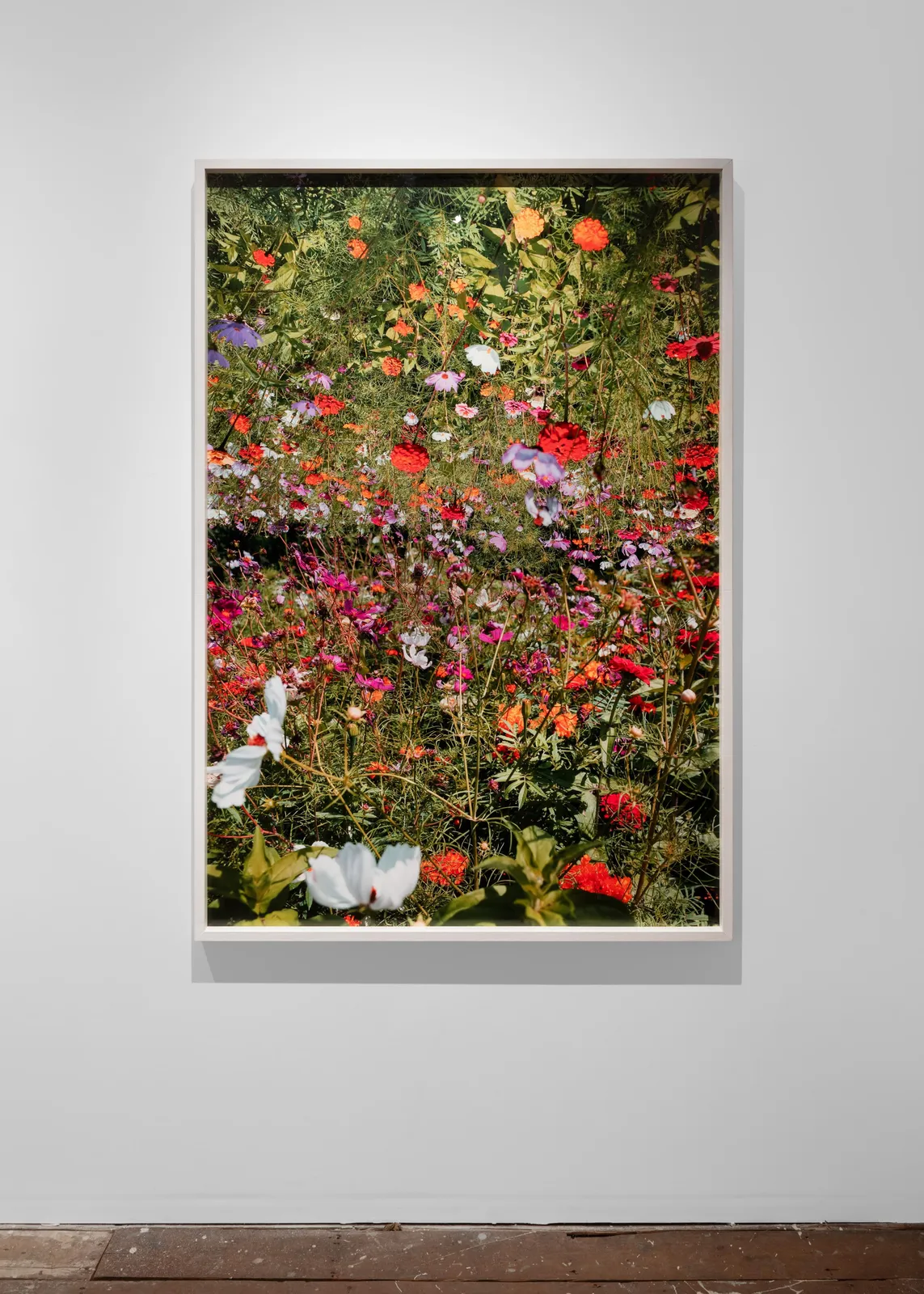 Samuel Hodge, Dwell Time 2, 2026