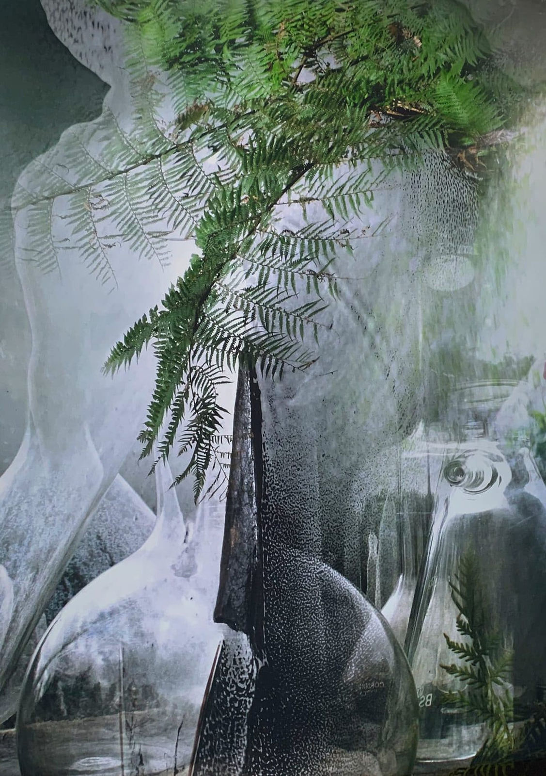 Janet Laurence, Conversing with Plants , 2024