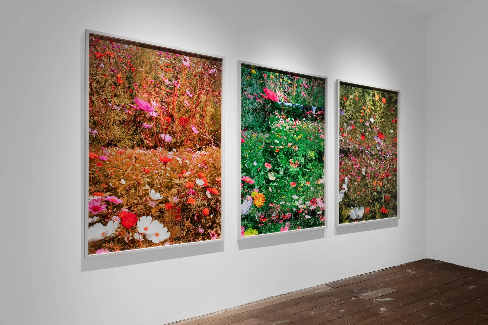 Samuel Hodge, Dwell Time 3, 2026