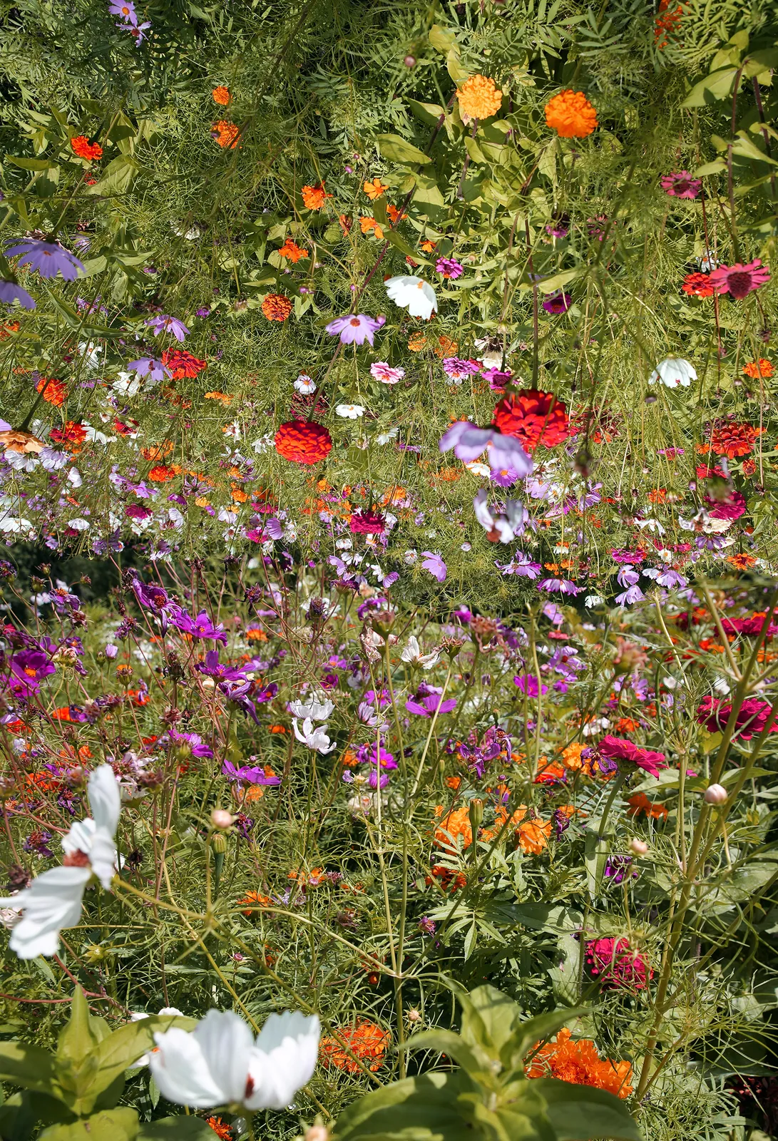 Samuel Hodge, Dwell Time 2, 2026