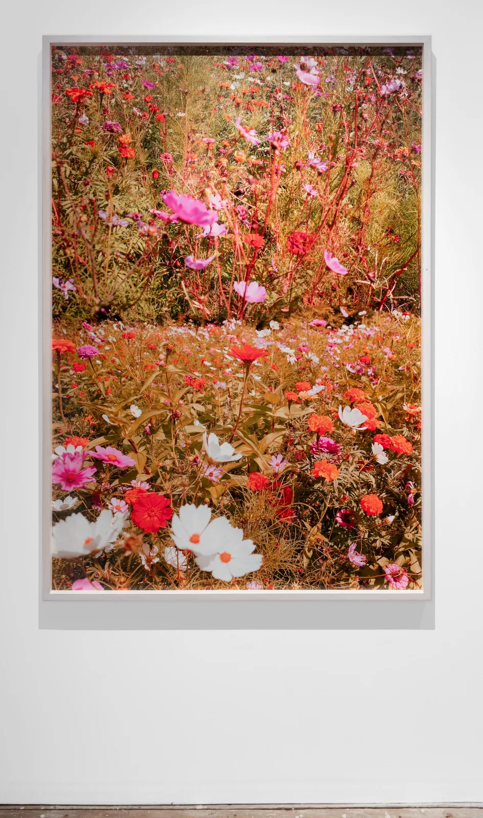 Samuel Hodge, Dwell Time 3, 2026