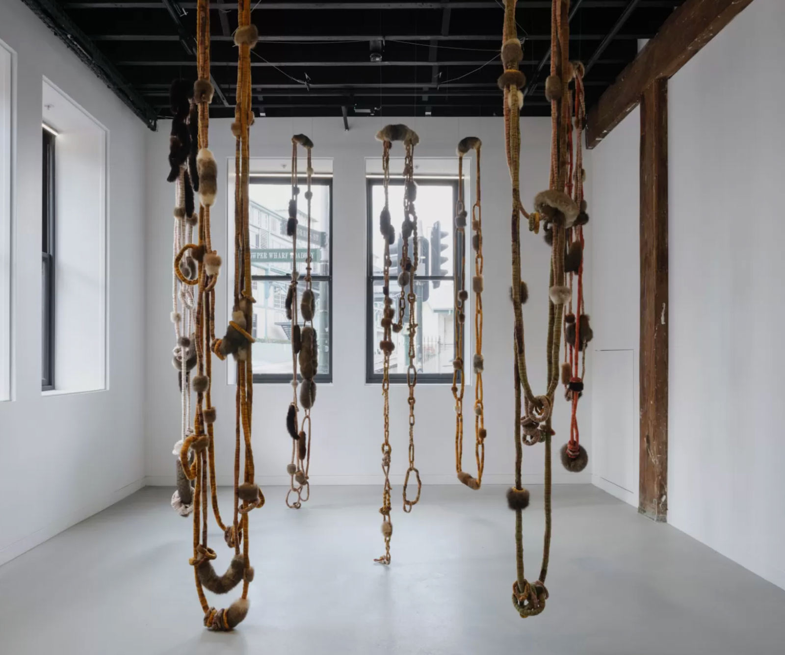 Juanita McLauchlan, guuma-li / gather series, 2024