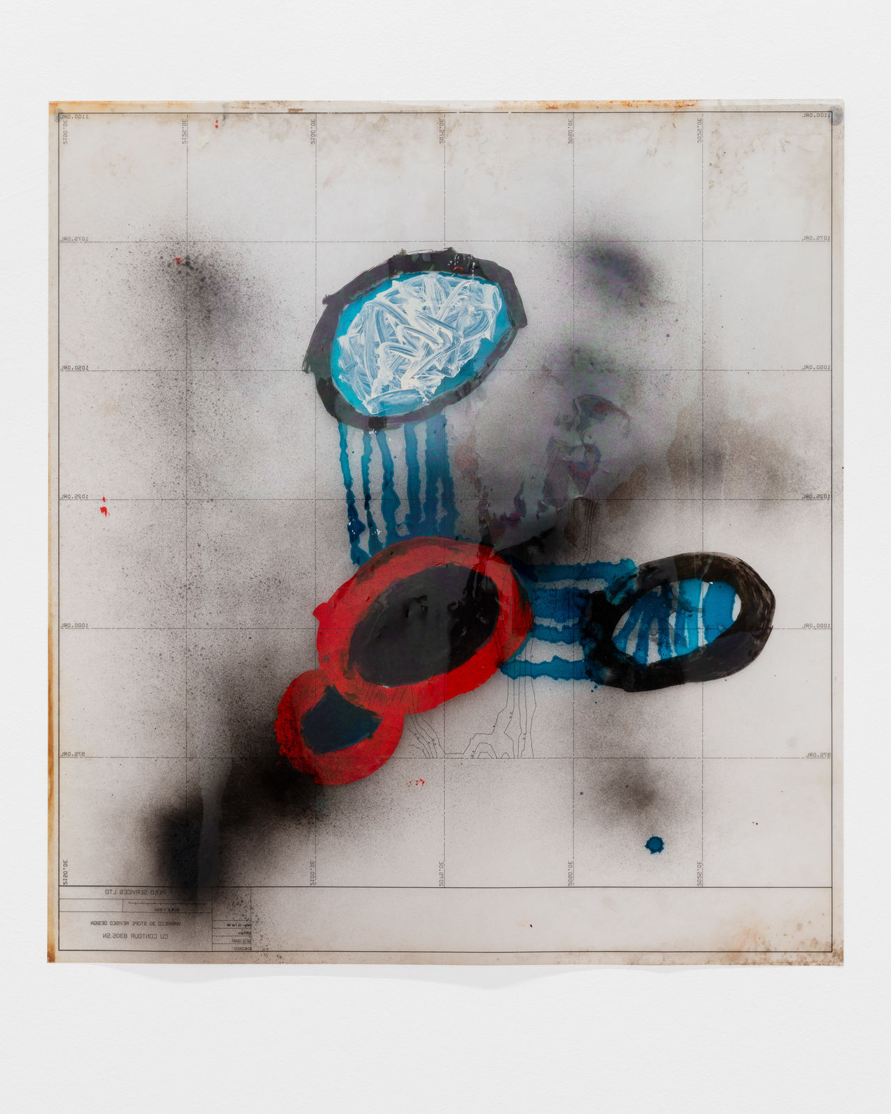 Tennant Creek Brio, Country Manu I (Joseph Williams), 2024