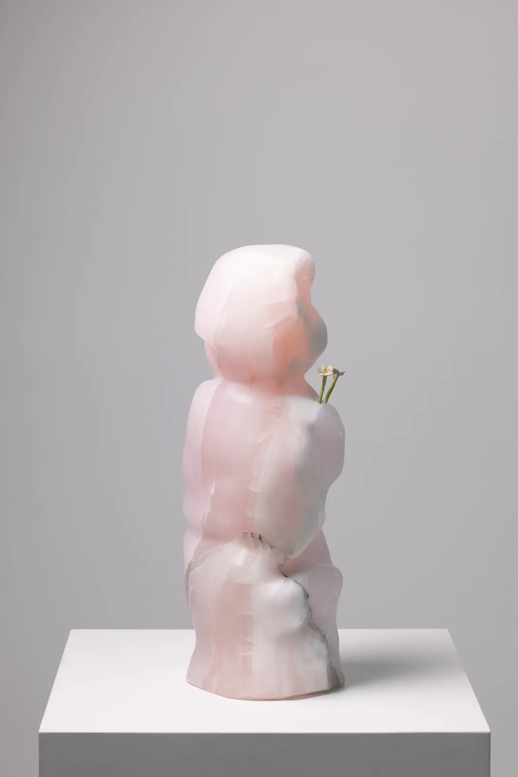 Yves Scherer, Cutesy, 2025