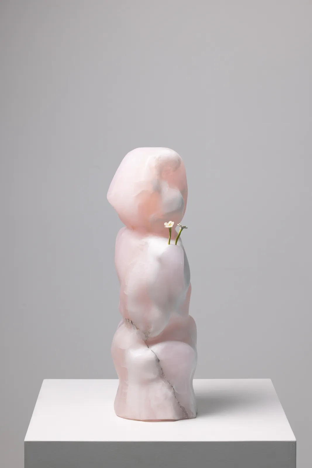 Yves Scherer, Cutesy, 2025