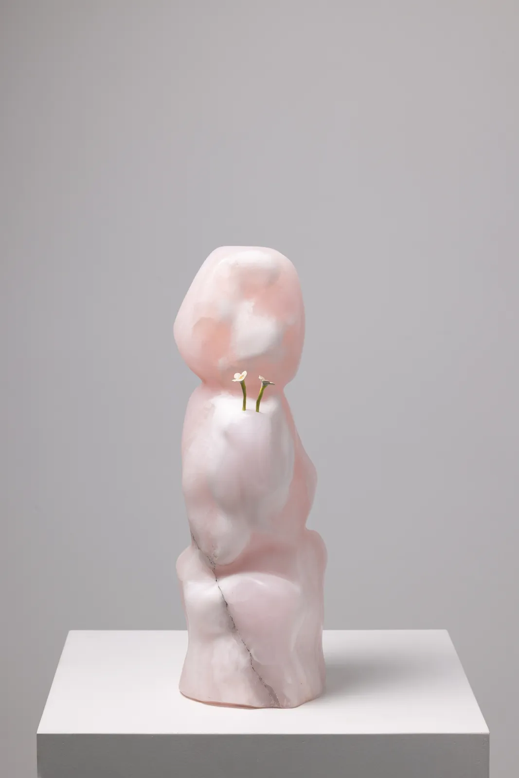 Yves Scherer, Cutesy, 2025