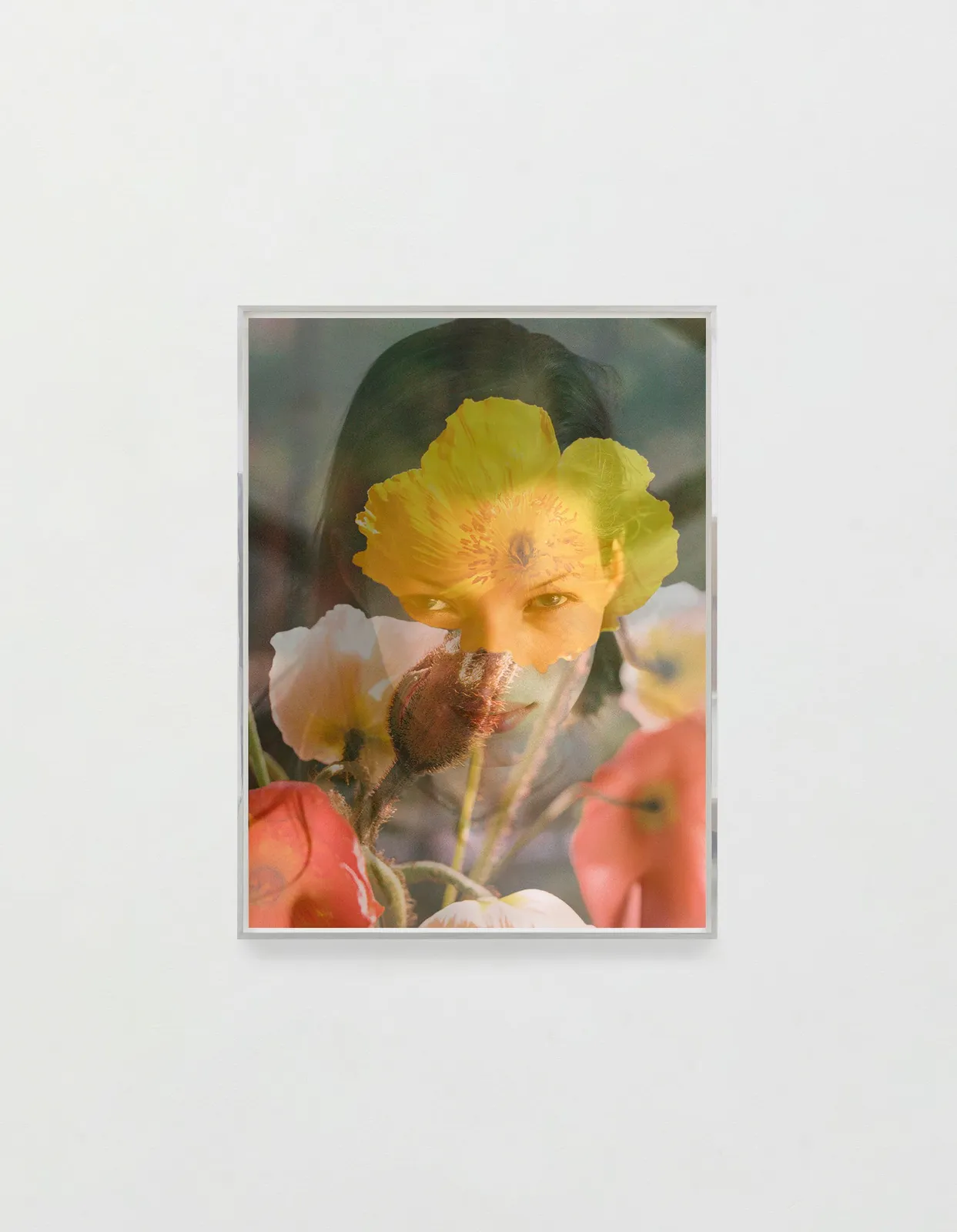 Yves Scherer, Imagine, 2025