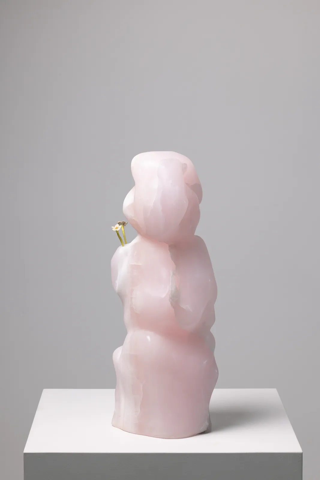 Yves Scherer, Cutesy, 2025