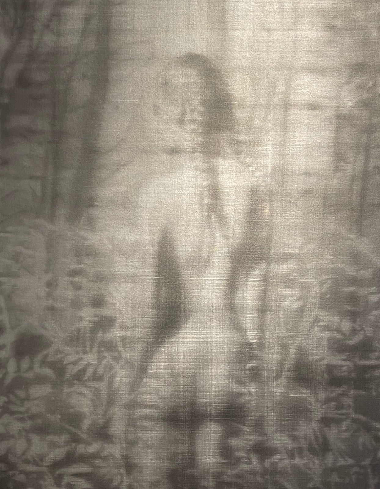 Alison Van Pelt, Girl in the Woods, 2018