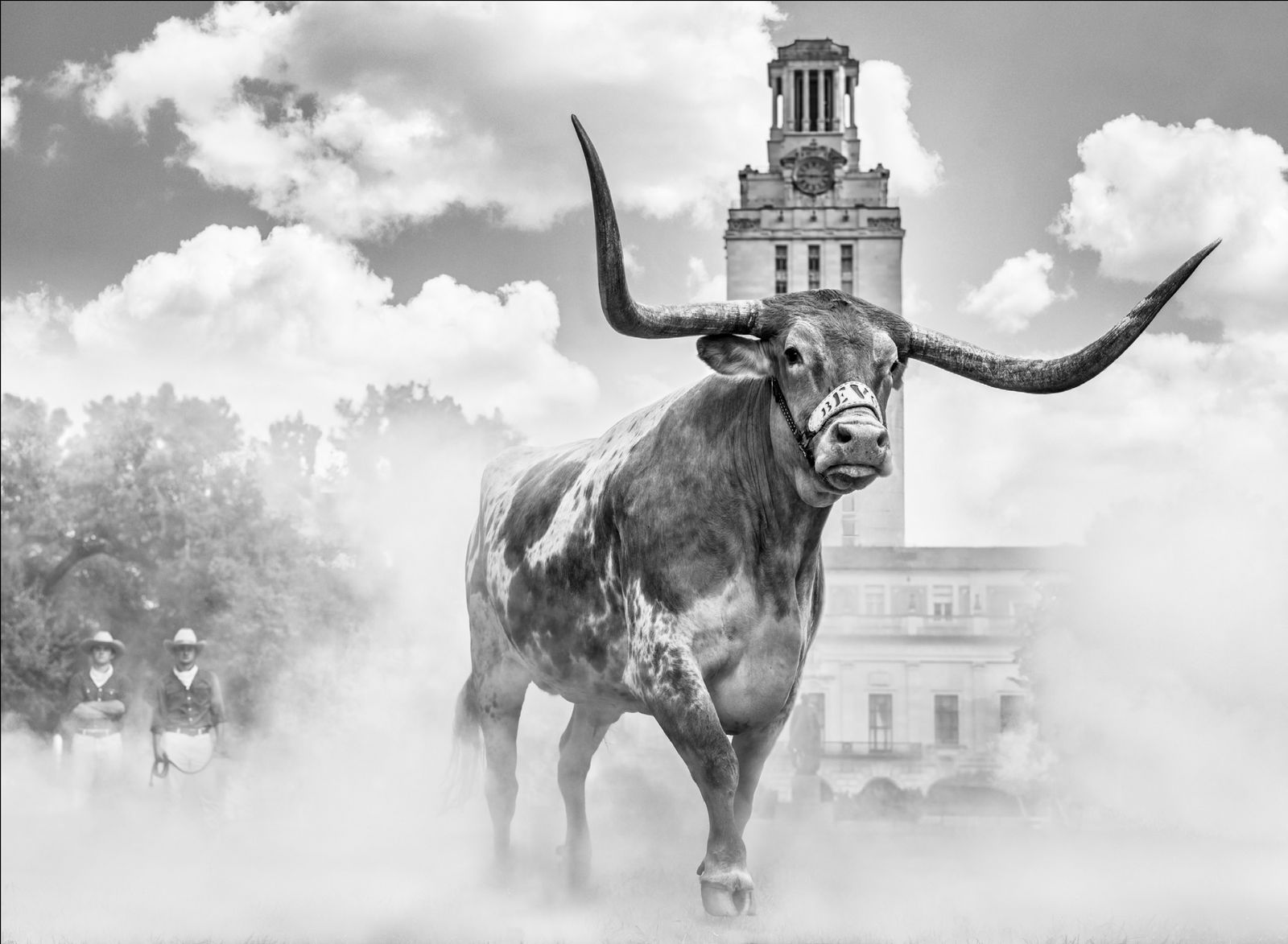 David Yarrow, Hook 'em Horns, 2024