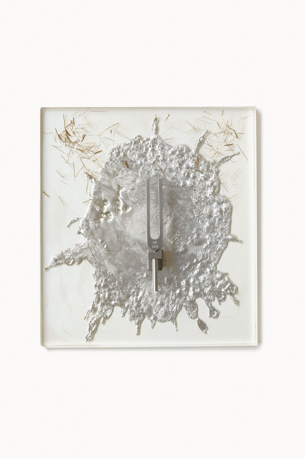 Cate Wind, MI 528, 2020