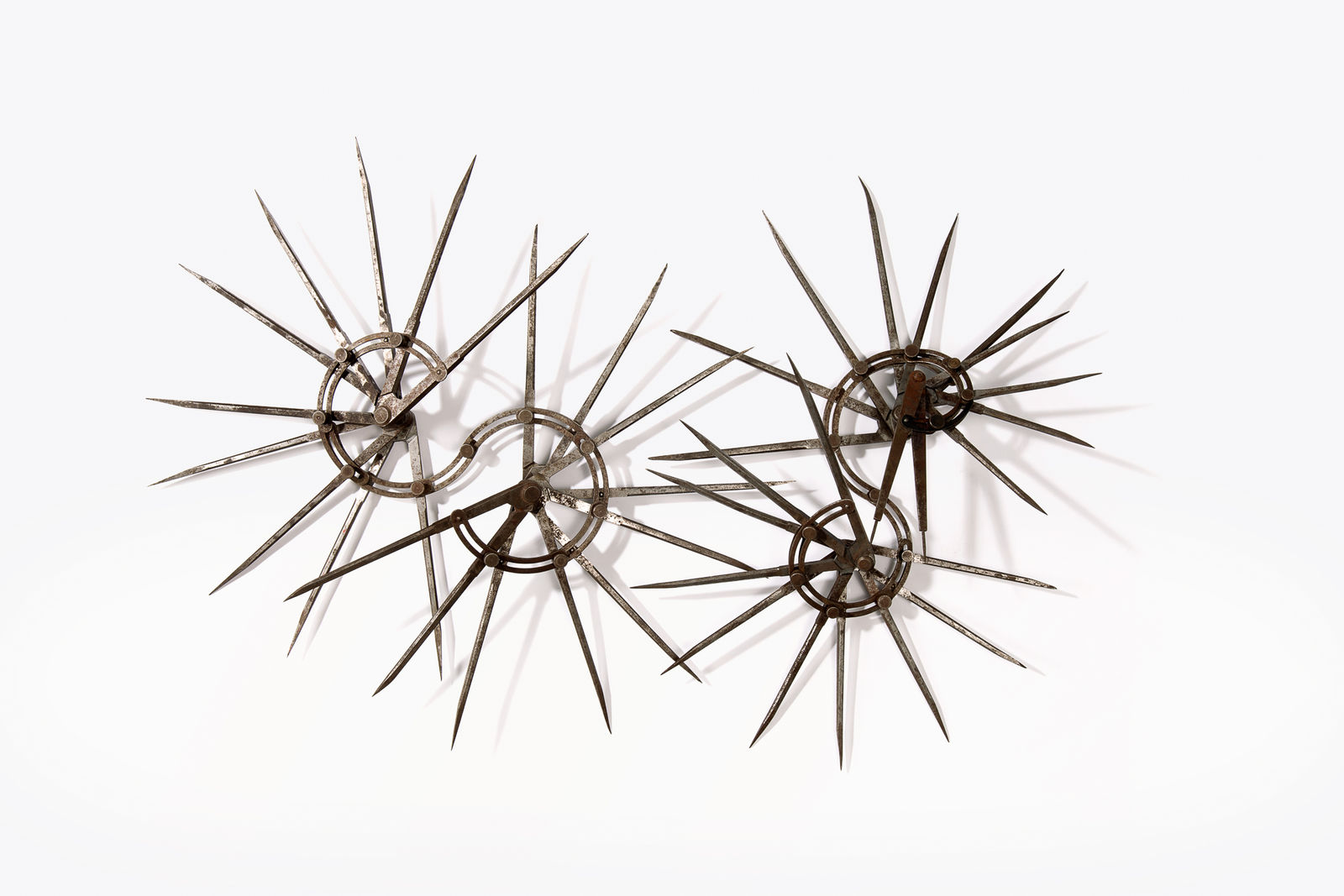 Cate Wind, Egoism, 2019