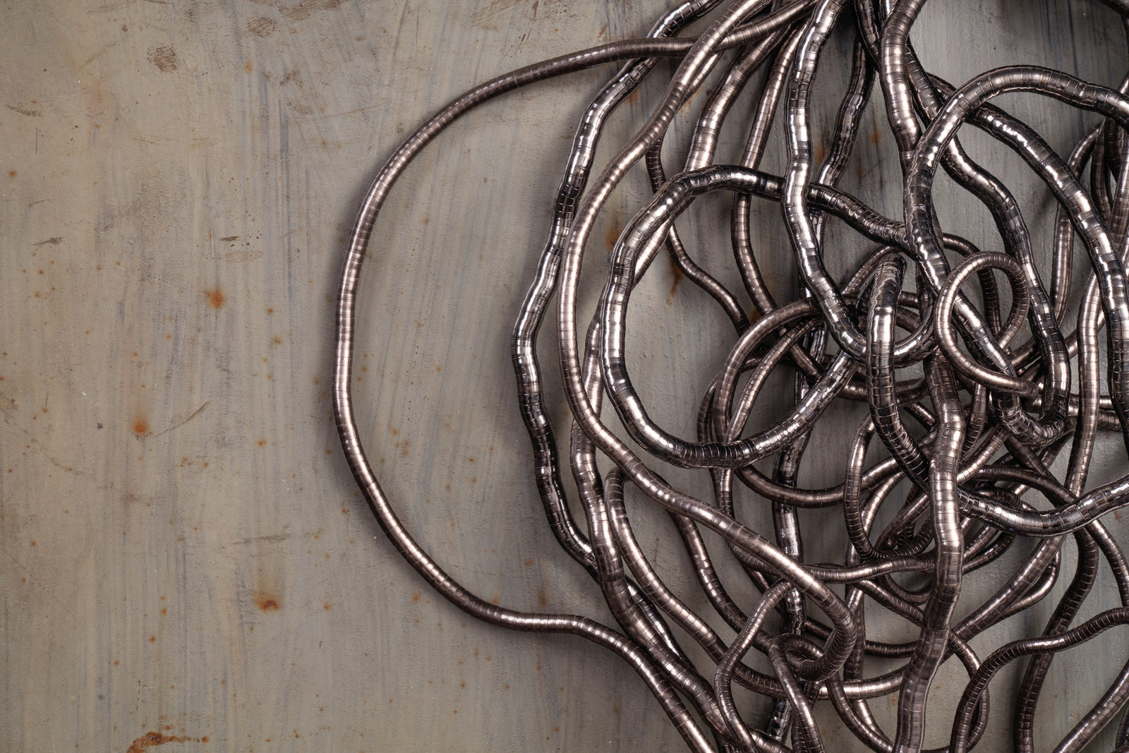 Cate Wind, Reiz, 2020