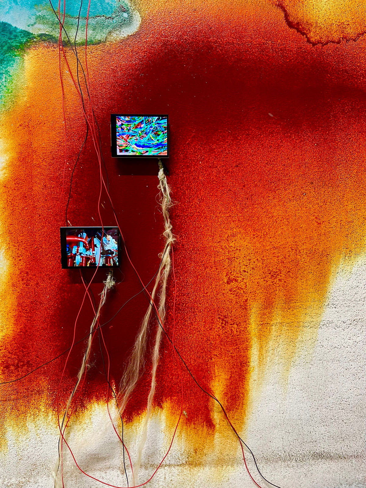 Cate Wind, Hairy Times, 2024