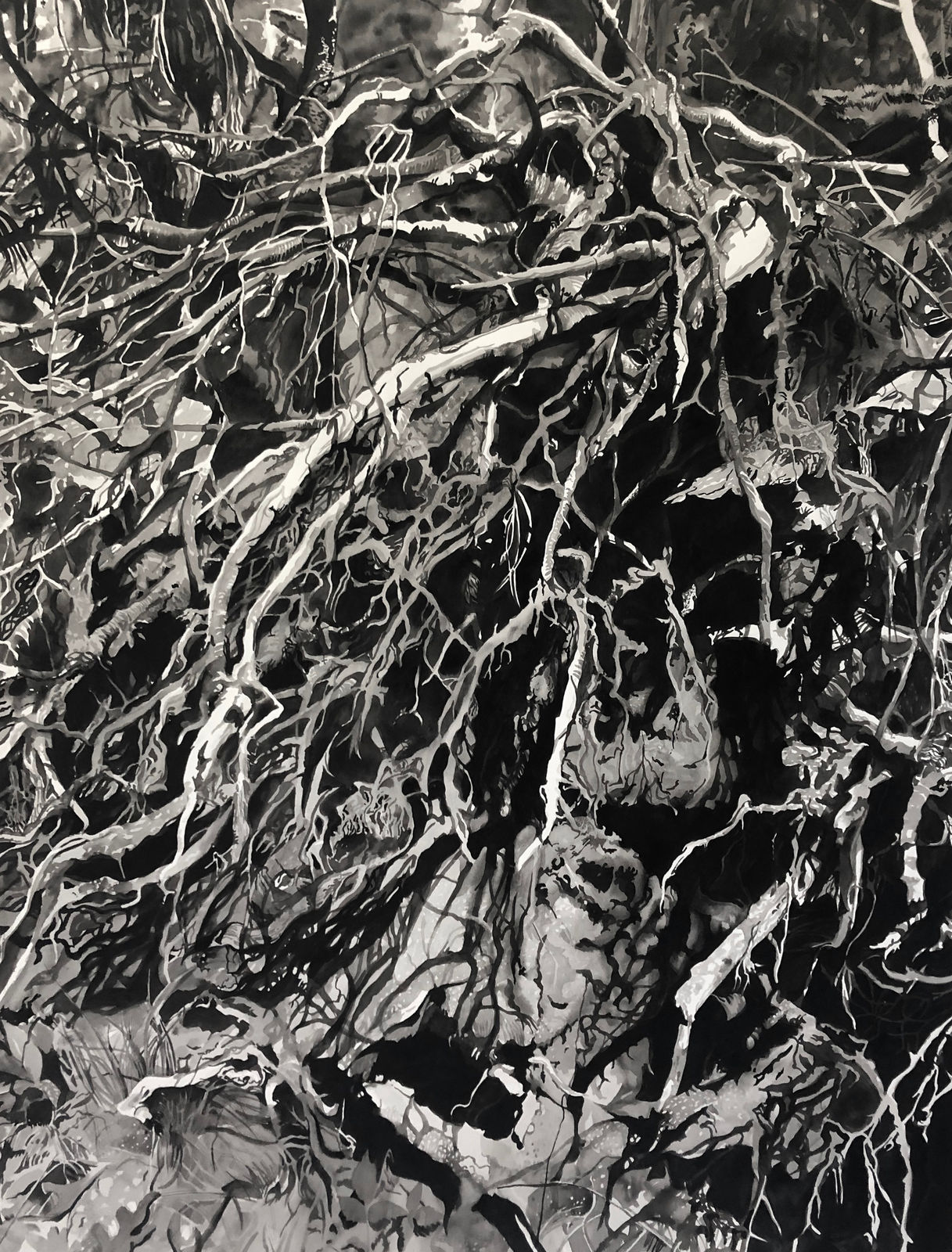 Chris Doyle, Newly Fallen #4, 2020