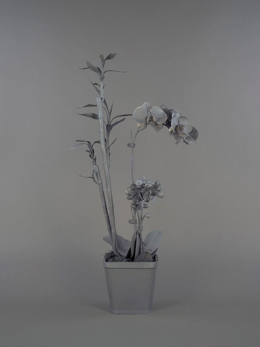 Stephanie Syjuco, Neutral Orchids (Phalaenopsis + Dracaena sanderana 2), 2016
