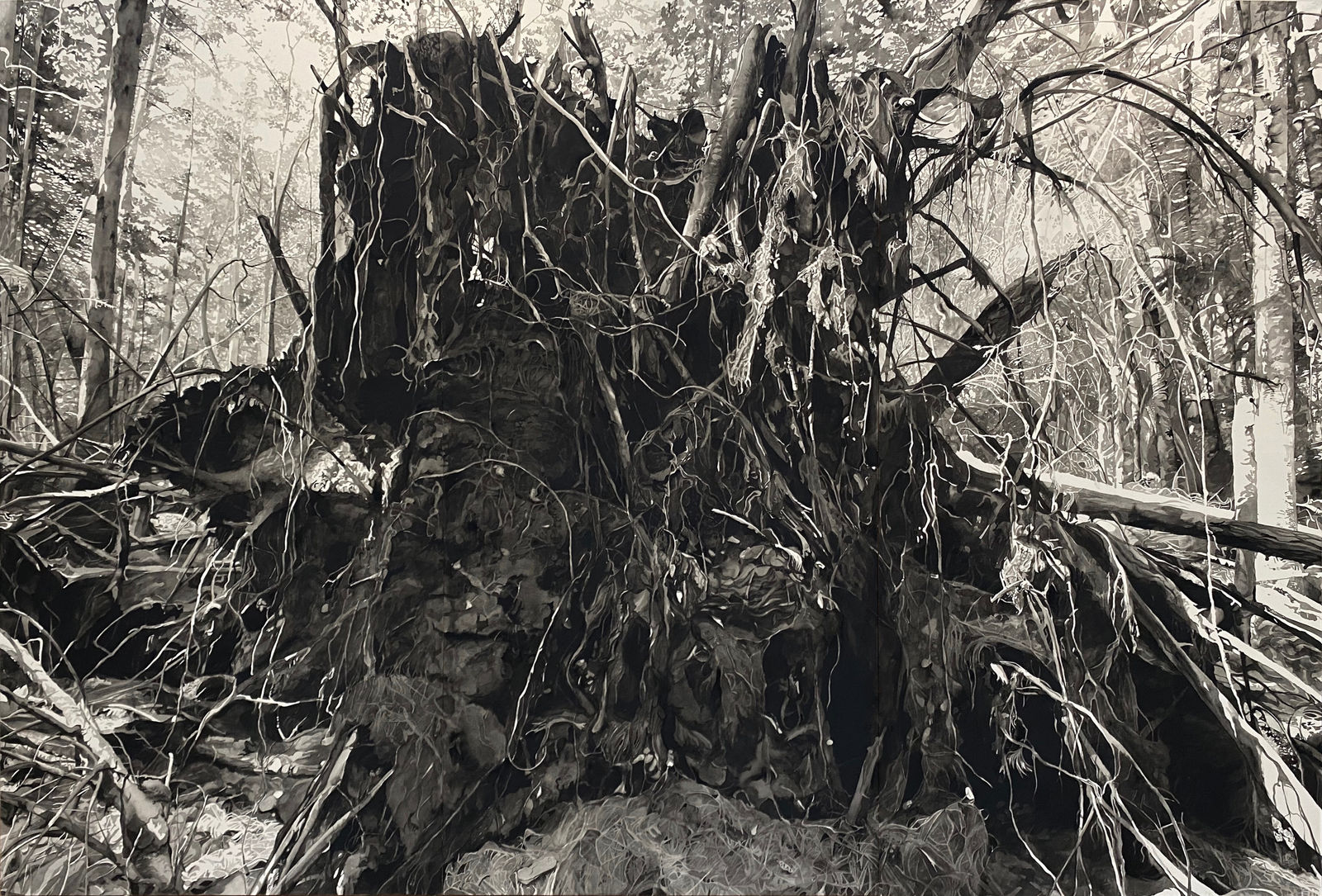 Chris Doyle, Newly Fallen #7, 2021