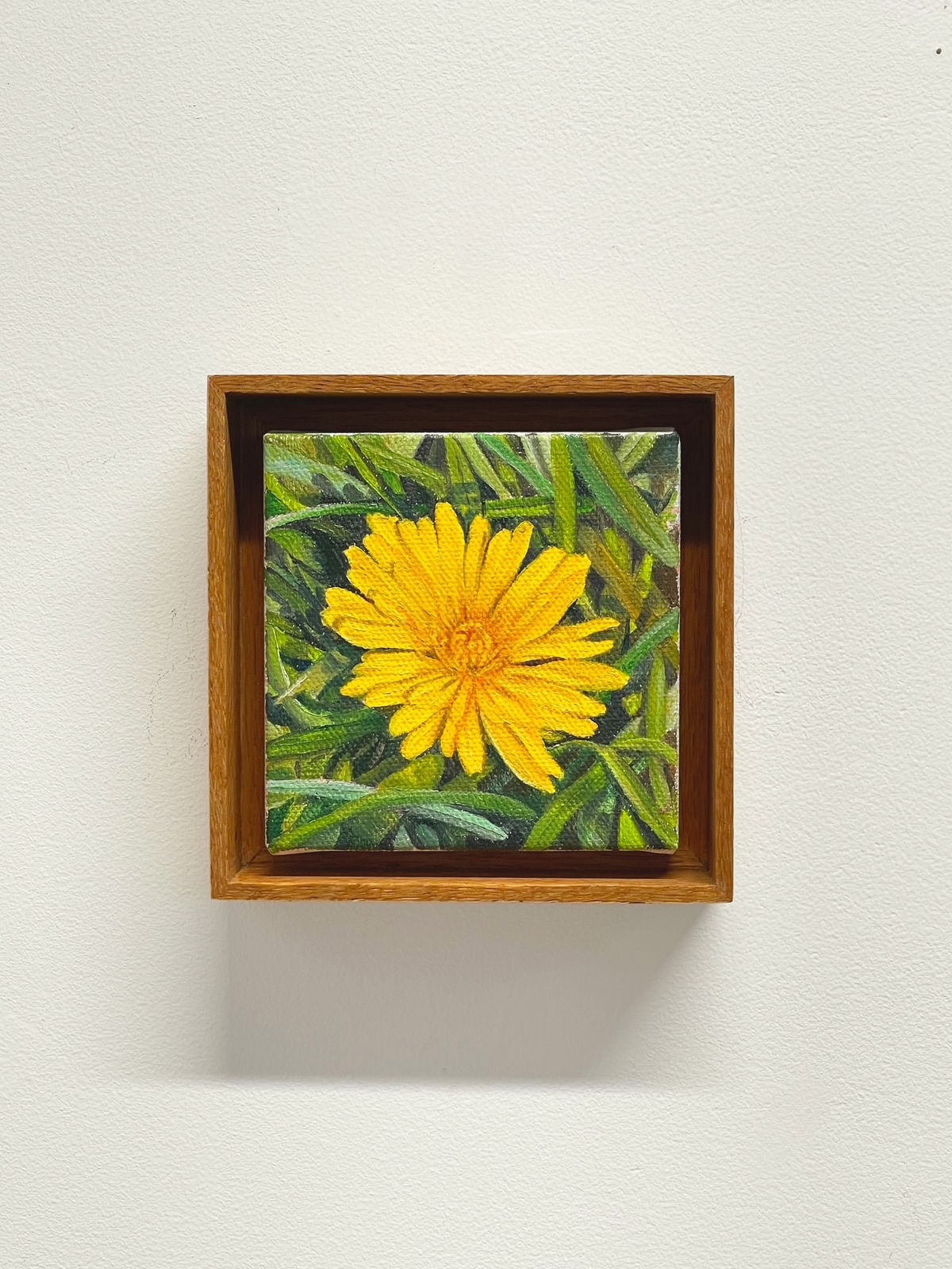 Michael Hall, Dandelion, 2025