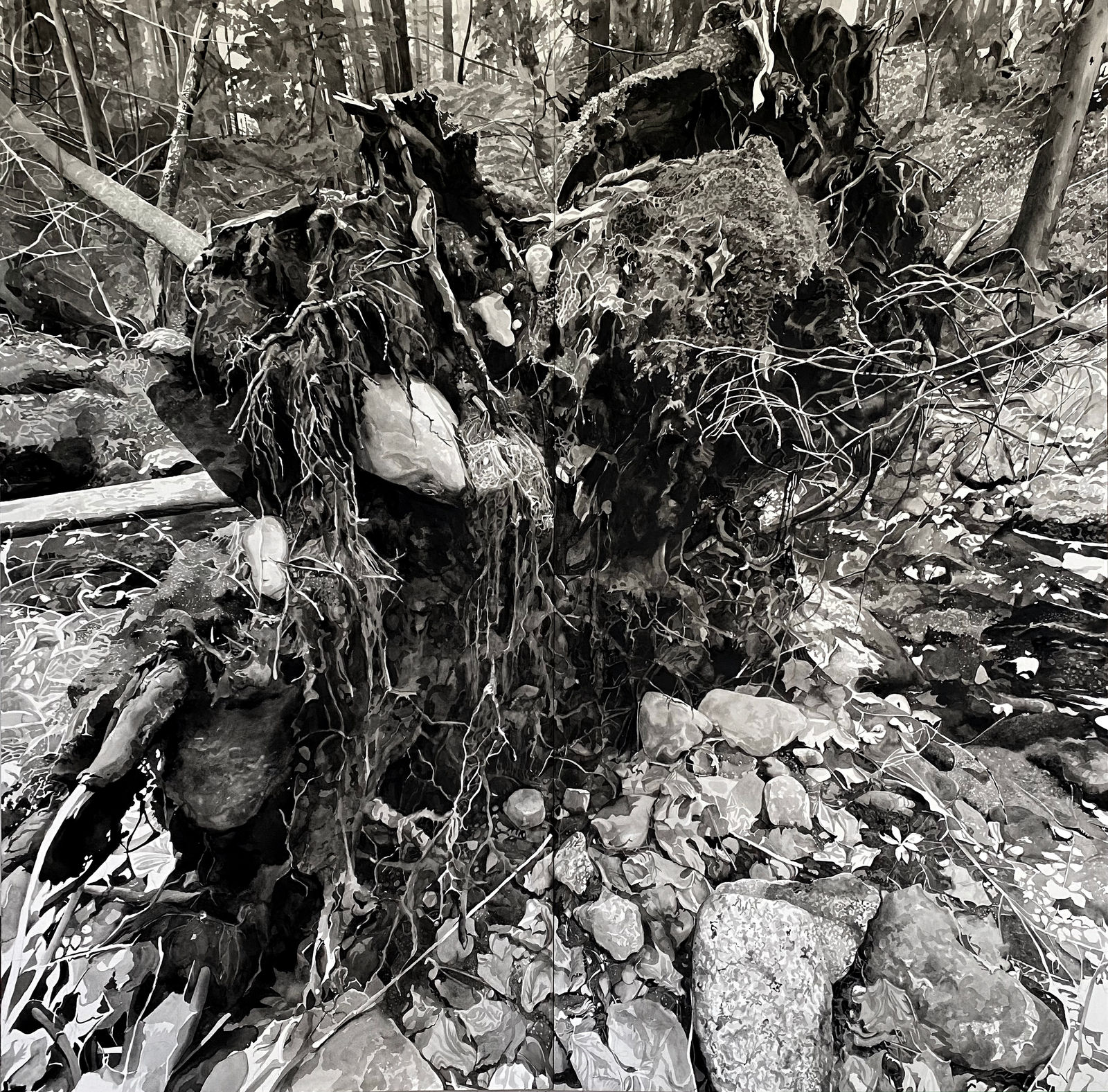 Chris Doyle, Newly Fallen #11, 2022