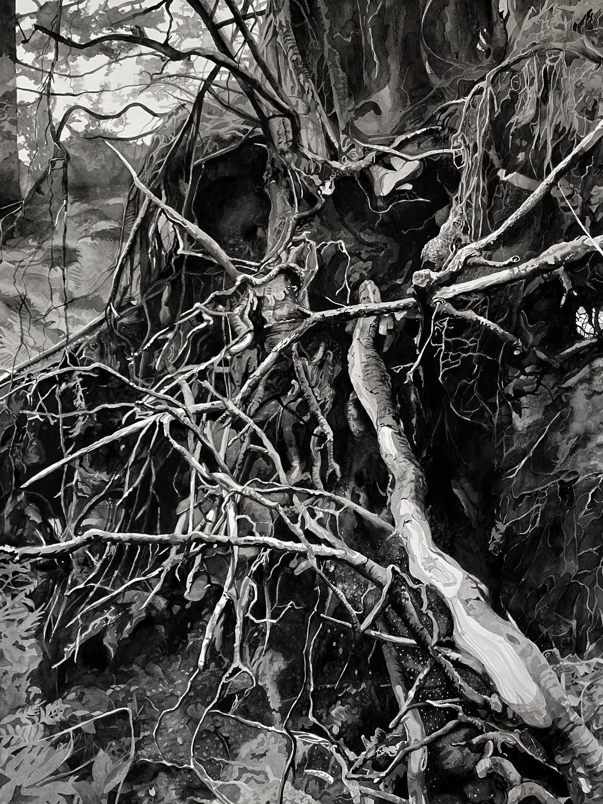 Chris Doyle, Newly Fallen #5, 2020