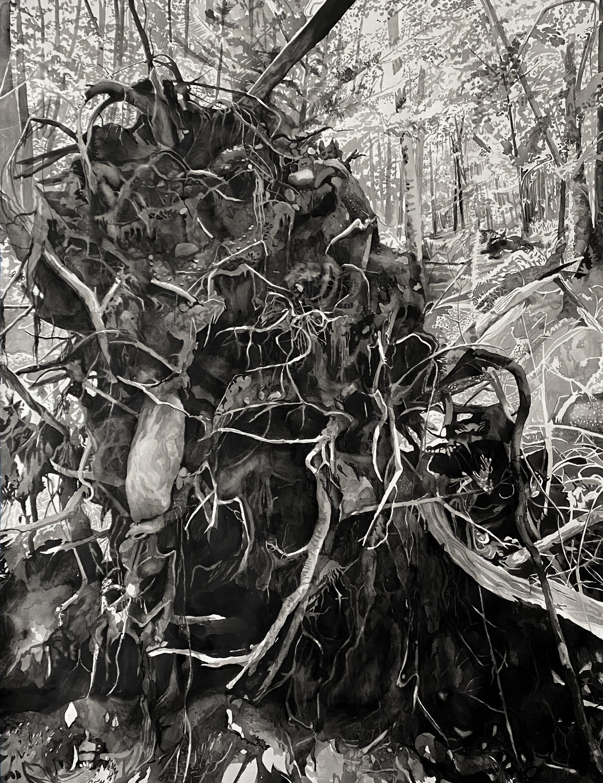 Chris Doyle, Newly Fallen #9, 2020