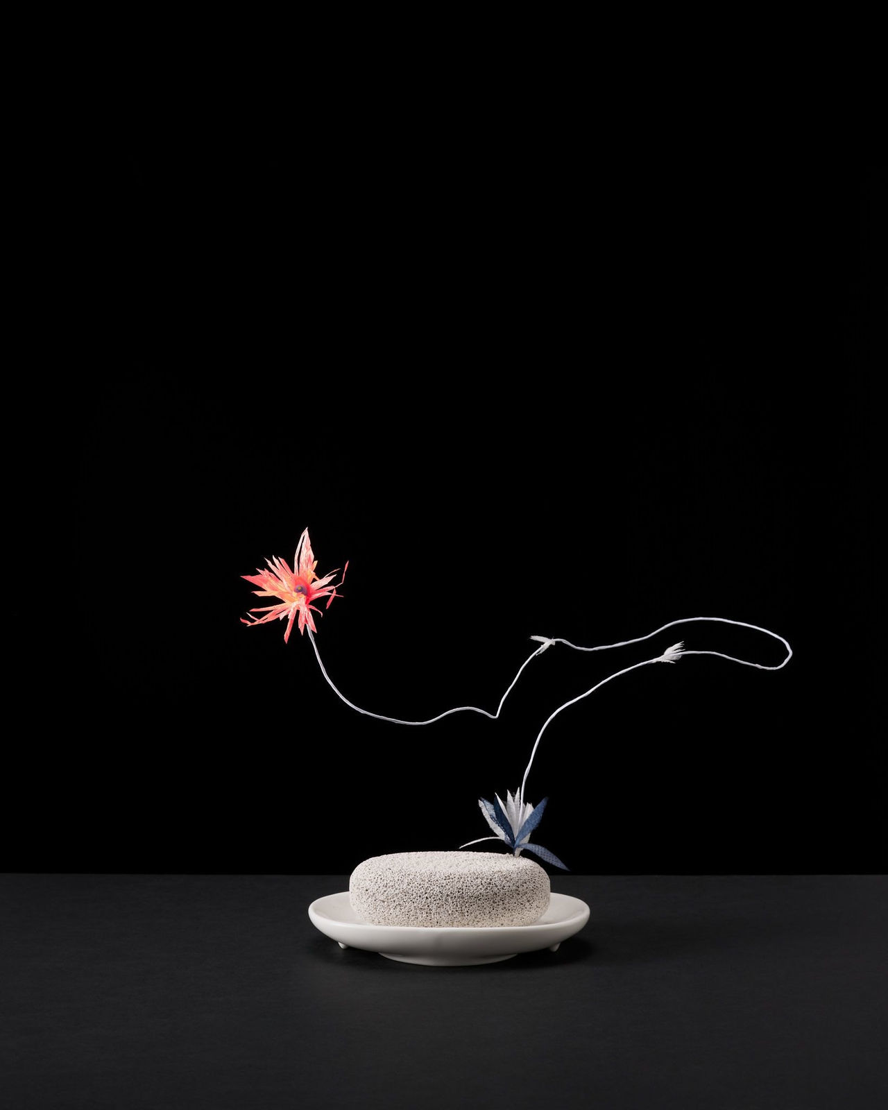 Nina Katchadourian, Fake Plant #8, 2022