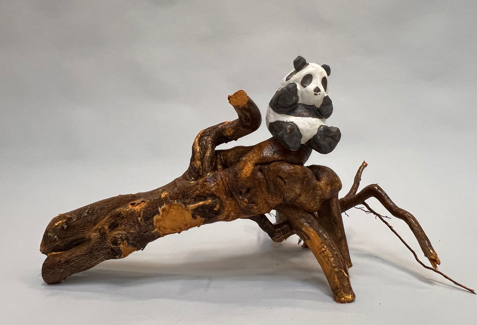 Wanxin Zhang, No bamboo, no problem, 2023-2024