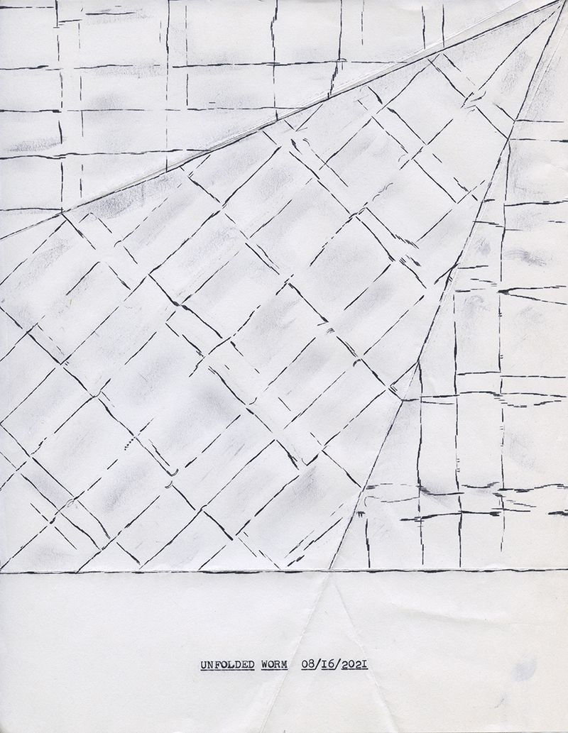 Lenka Clayton, Unfolded Worm (08/16/2021), 2021